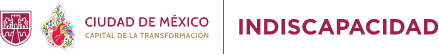 Instituto de las Personas con Discapacidad